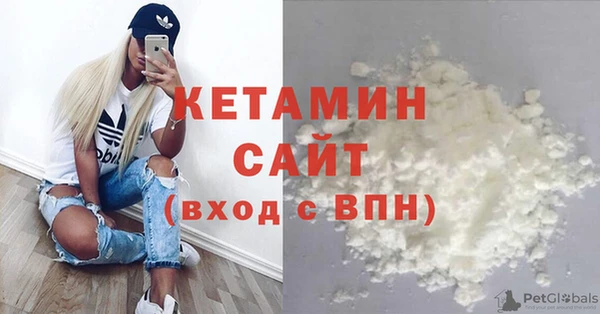 стаф Вязьма