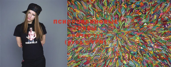 прущие крисы Вяземский