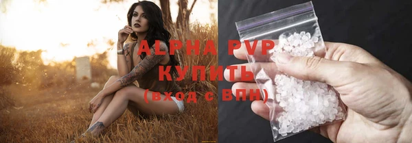 стаф Вязьма