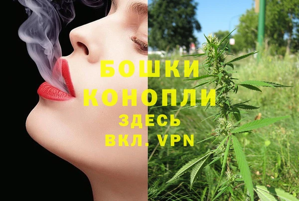 прущие крисы Вяземский