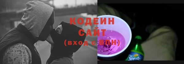 стаф Вязьма