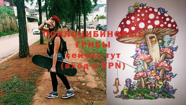 дживик Вязники