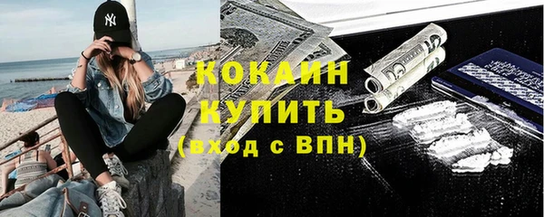 прущие крисы Вяземский