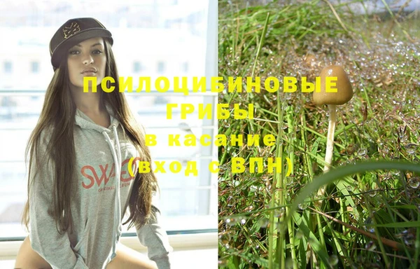 прущие крисы Вяземский