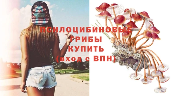 дживик Вязники