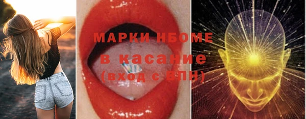 стаф Вязьма
